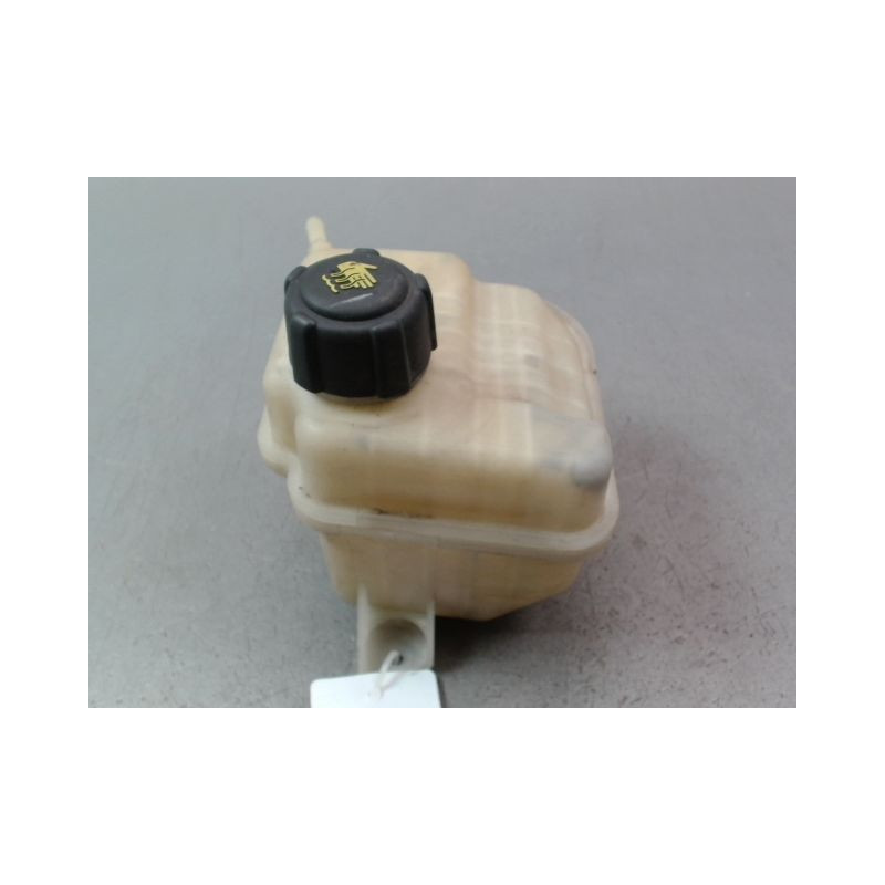 VASE EXPANSION NISSAN QASHQAI +2 I Phase 2 LONG 2010-2014