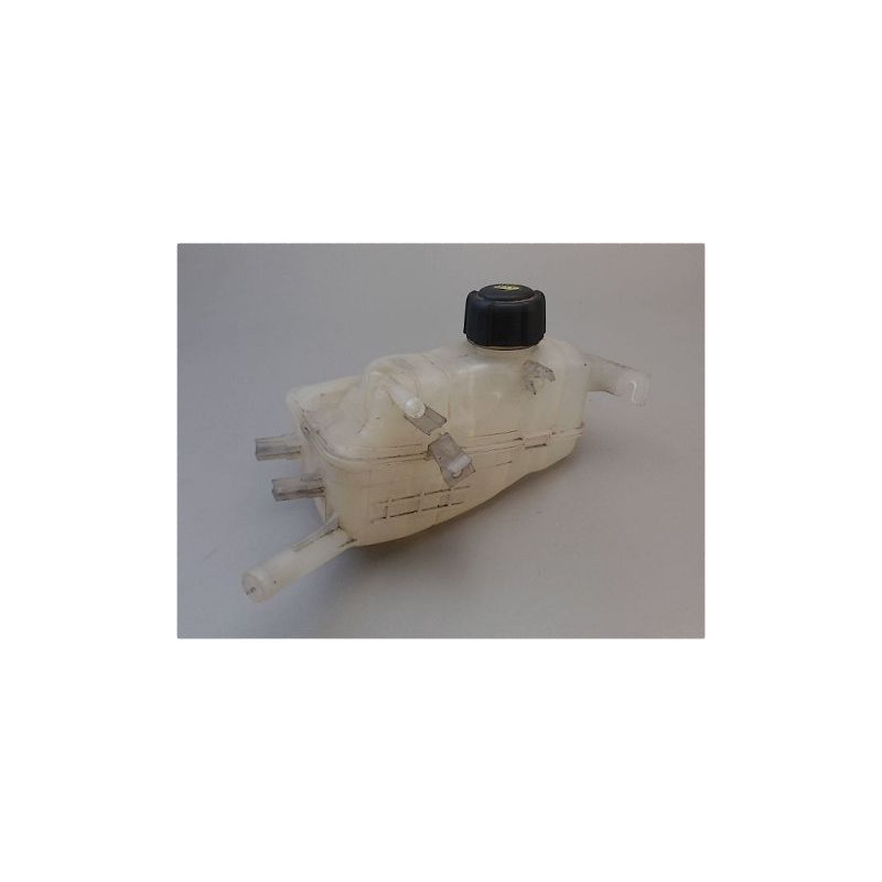 VASE EXPANSION RENAULT MEGANE