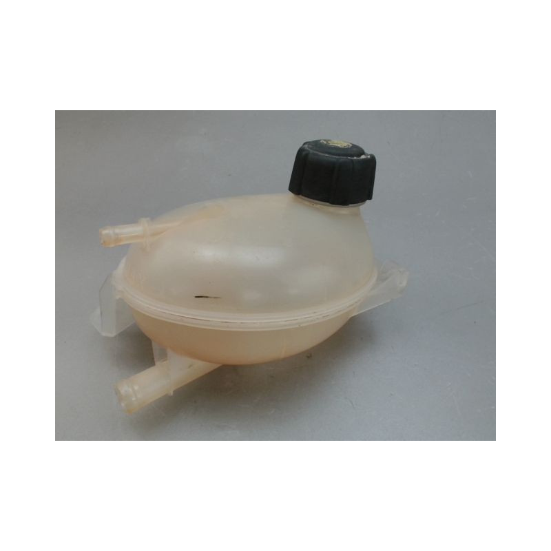 VASE EXPANSION RENAULT CLIO