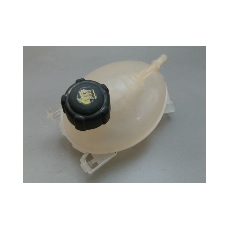 VASE EXPANSION RENAULT CLIO