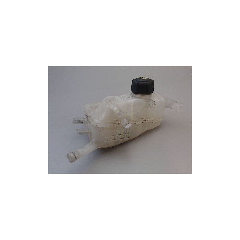 VASE EXPANSION RENAULT MEGANE