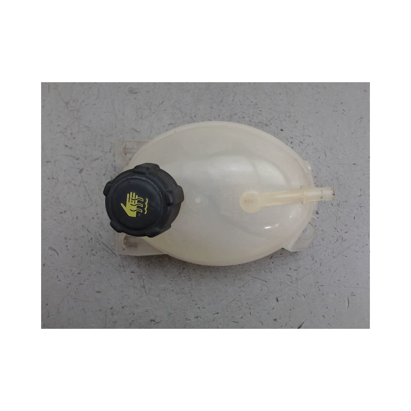 VASE EXPANSION RENAULT CLIO