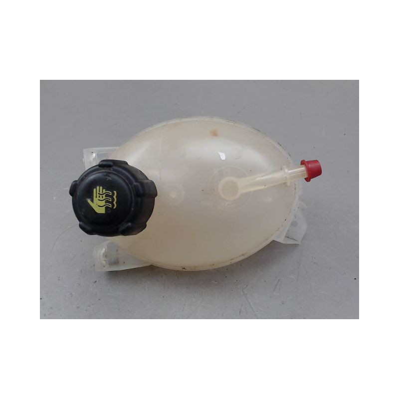 VASE EXPANSION RENAULT CLIO
