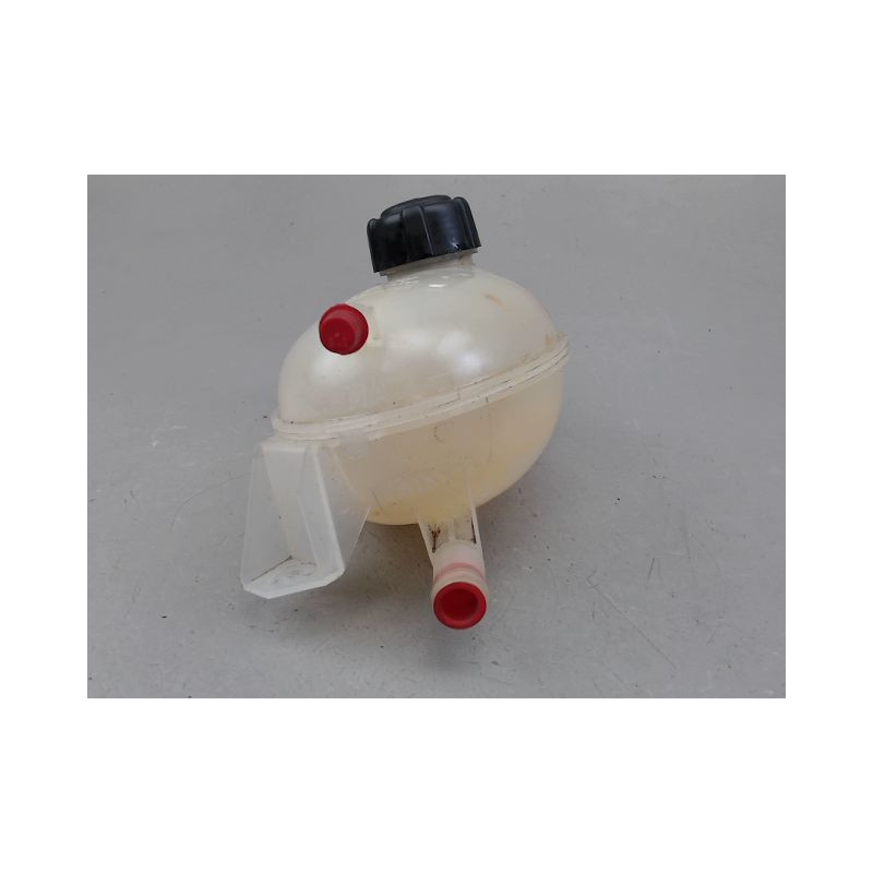 VASE EXPANSION RENAULT CLIO