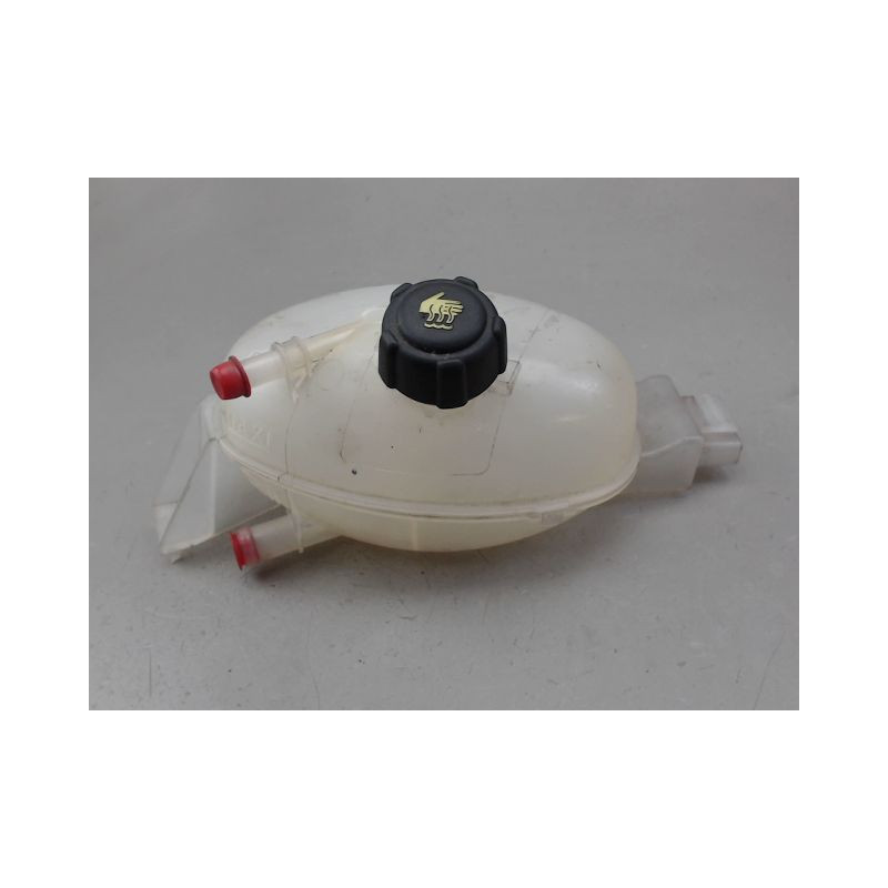 VASE EXPANSION RENAULT MASTER