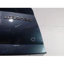 COFFRE ARRIERE PEUGEOT 407