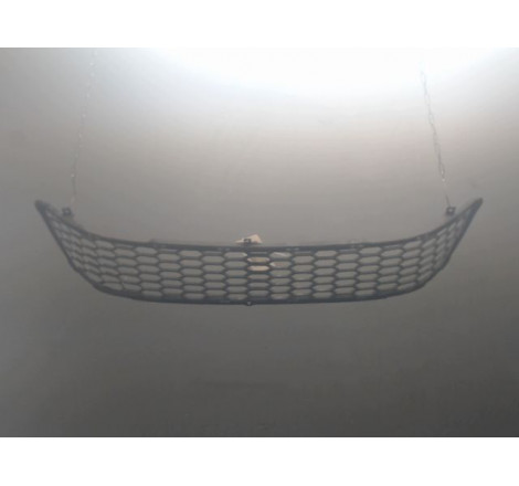 GRILLE PARE-CHOC AV