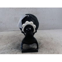 TREUIL DE ROUE DE SECOURS RENAULT CLIO III 2009-