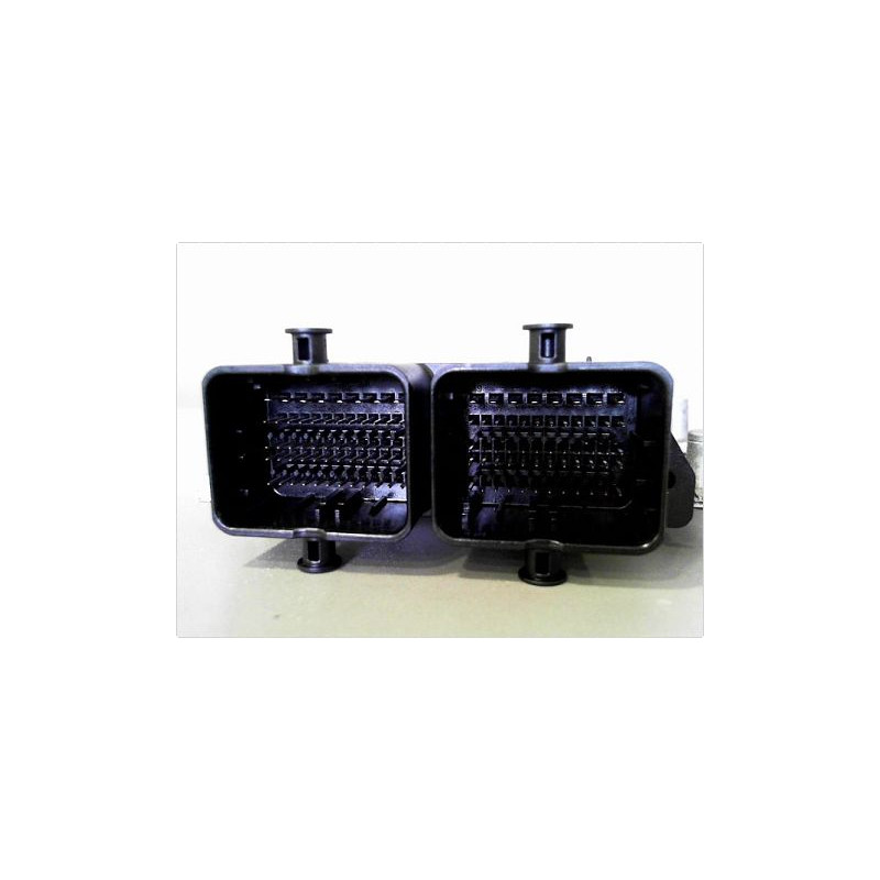 CALCULATEUR MOTEUR SUZUKI ALTO 09-