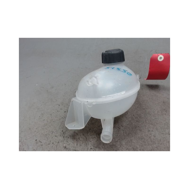 VASE EXPANSION RENAULT CAPTUR 1