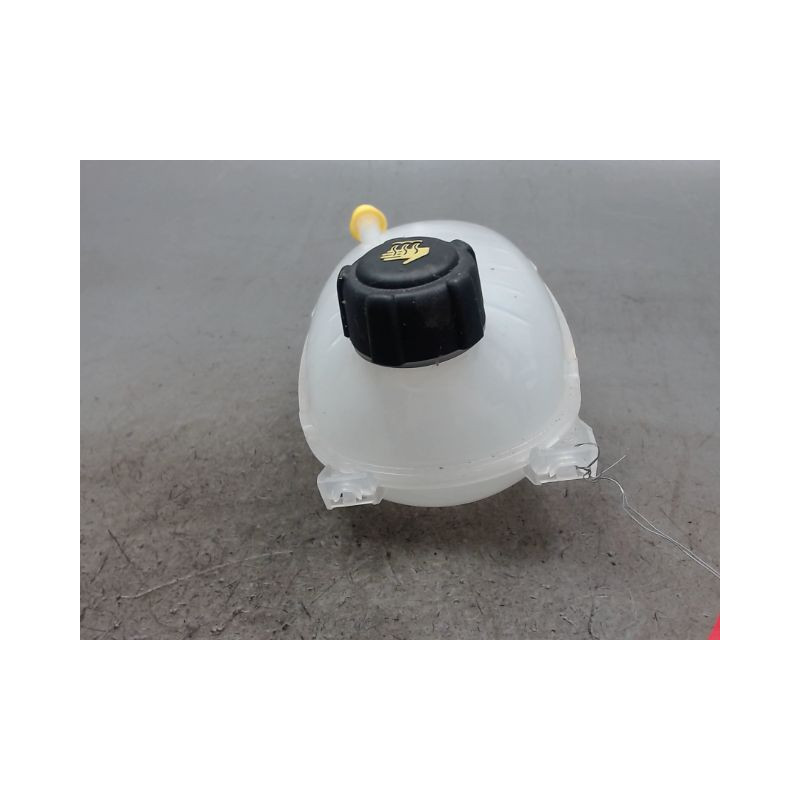 VASE EXPANSION RENAULT CLIO 5
