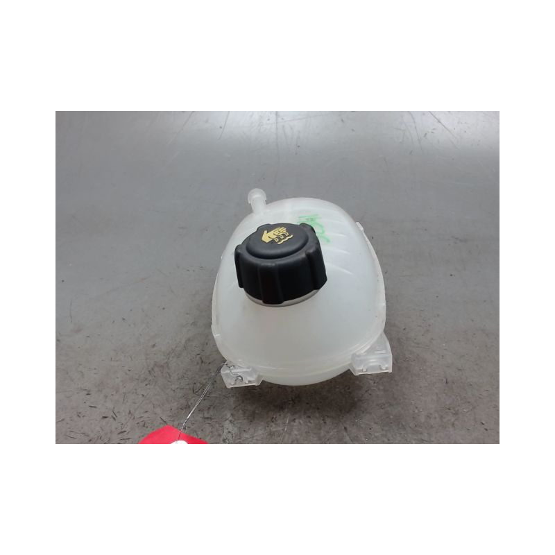 VASE EXPANSION RENAULT CLIO 5  ESSENCE