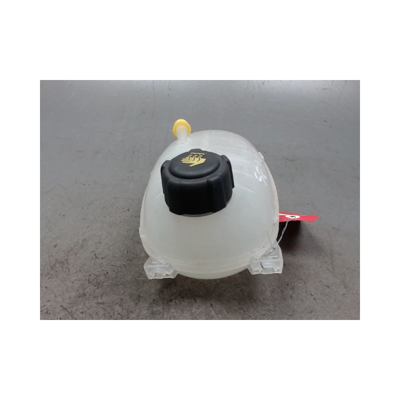 VASE EXPANSION RENAULT CLIO 5  ESSENCE