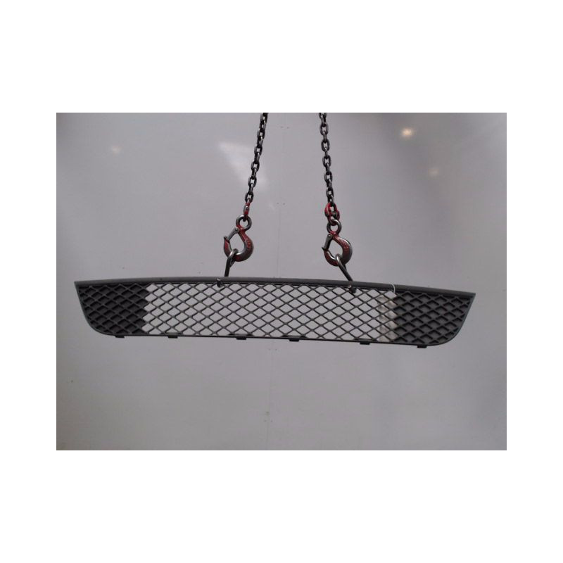 GRILLE PARE-CHOC AVANT FORD FIESTA 2005-