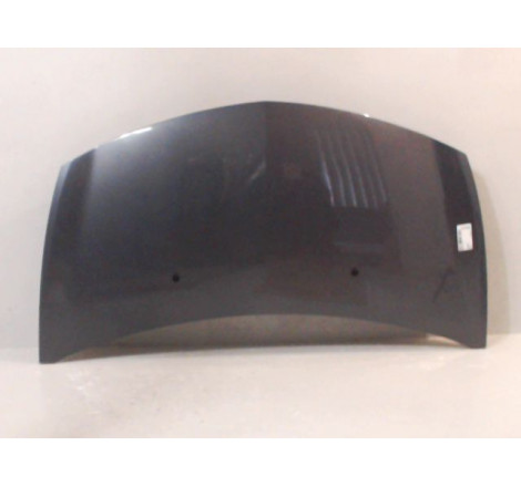 CAPOT RENAULT CLIO III 2005-