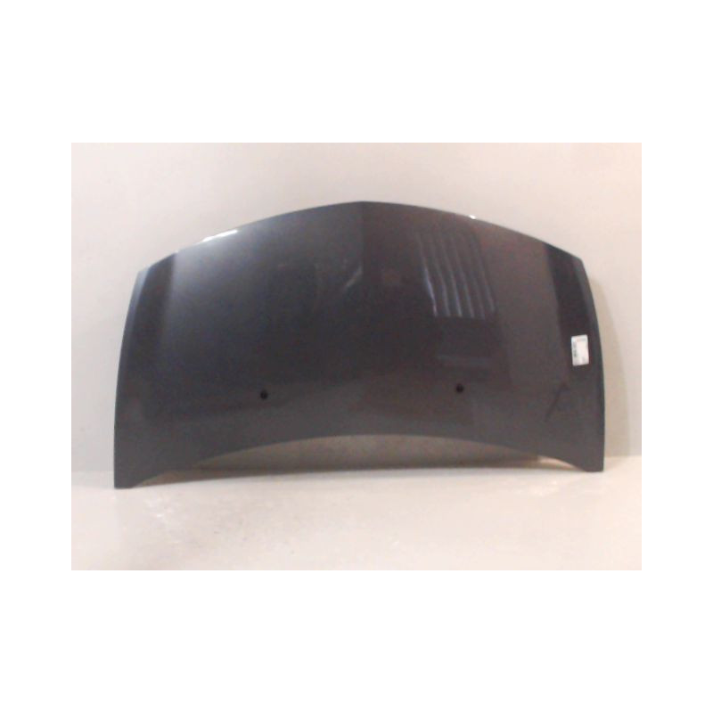 CAPOT RENAULT CLIO III 2005-