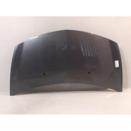 CAPOT RENAULT CLIO III 2005-