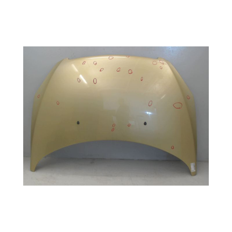 CAPOT PEUGEOT 307 2001-2005