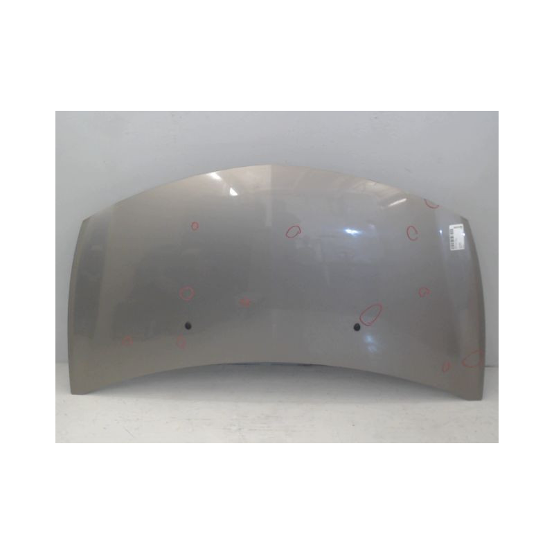 CAPOT RENAULT CLIO III 2007-