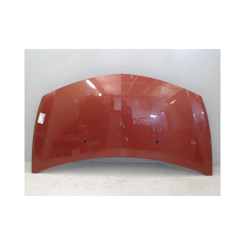 CAPOT RENAULT CLIO III 2005-