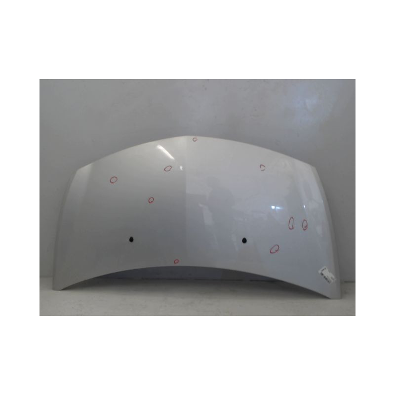 CAPOT RENAULT CLIO III 2007-