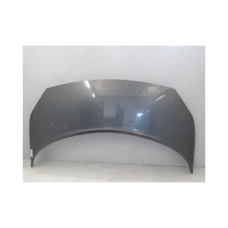 CAPOT RENAULT SCENIC II PH1 02-06