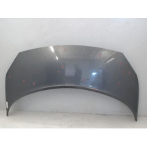 CAPOT RENAULT SCENIC II PH1 02-06