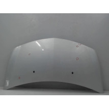 CAPOT RENAULT CLIO III 2007-
