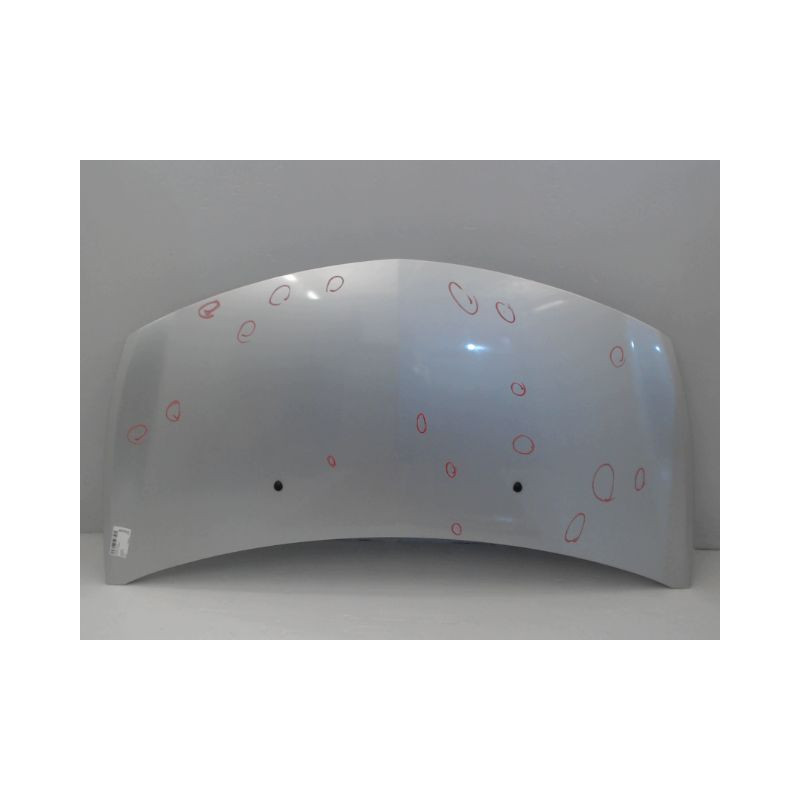 CAPOT RENAULT CLIO III 2007-