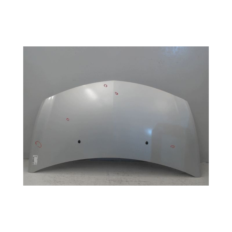 CAPOT RENAULT CLIO