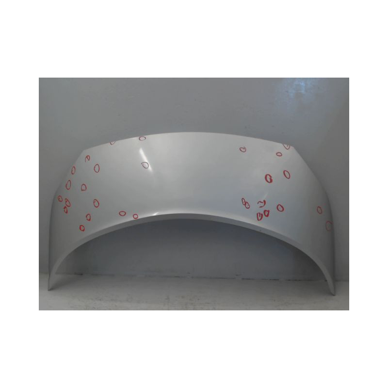 CAPOT RENAULT SCENIC II PH1 02-06