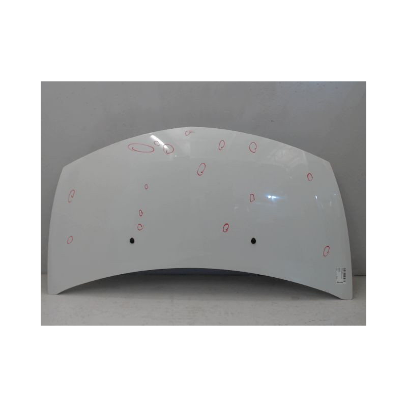 CAPOT RENAULT CLIO III CAMPUS 09-