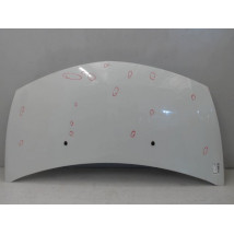 CAPOT RENAULT CLIO III CAMPUS 09-