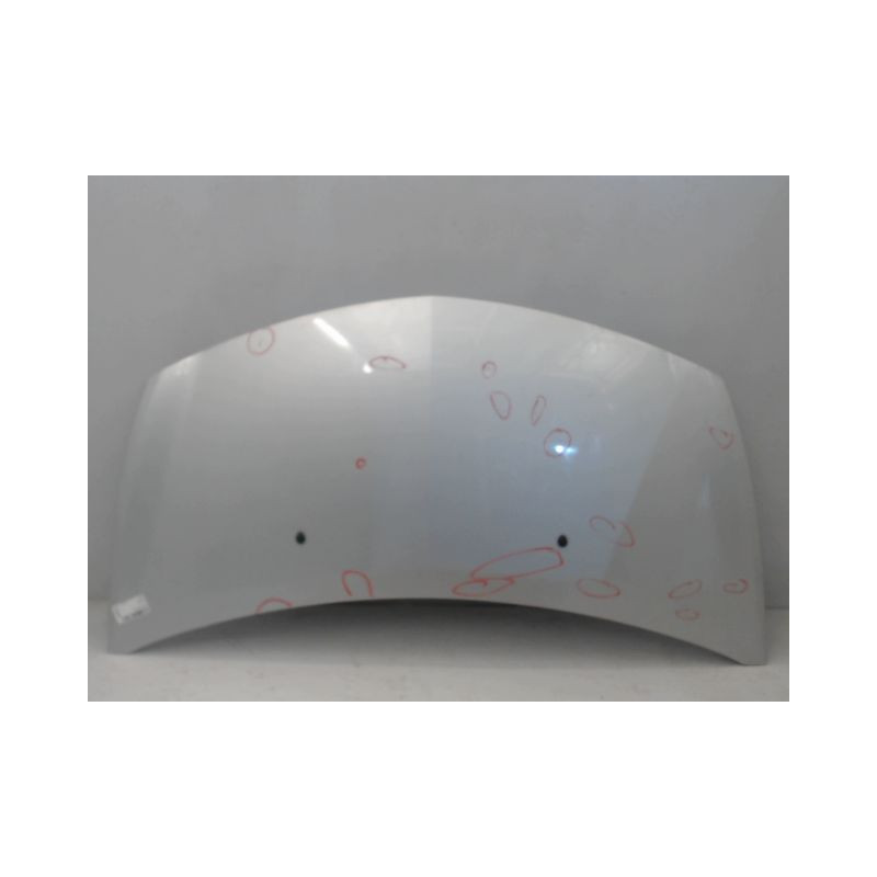 CAPOT RENAULT CLIO III 2007-