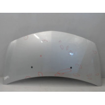 CAPOT RENAULT CLIO III 2007-