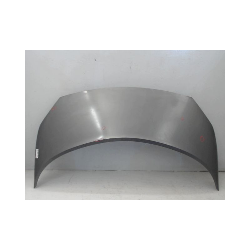 CAPOT RENAULT SCENIC II PH1 02-06