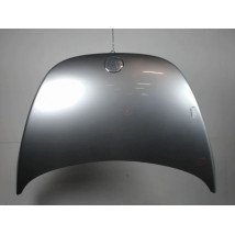 CAPOT VOLKSWAGEN NEWBEETLE