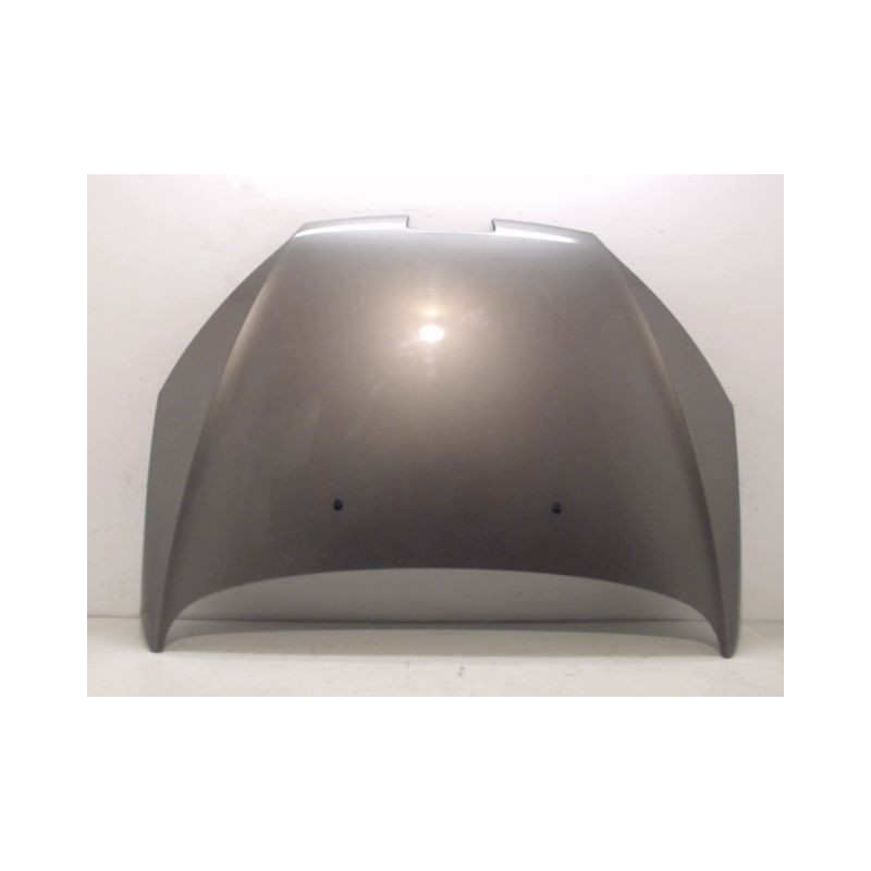 CAPOT PEUGEOT 407