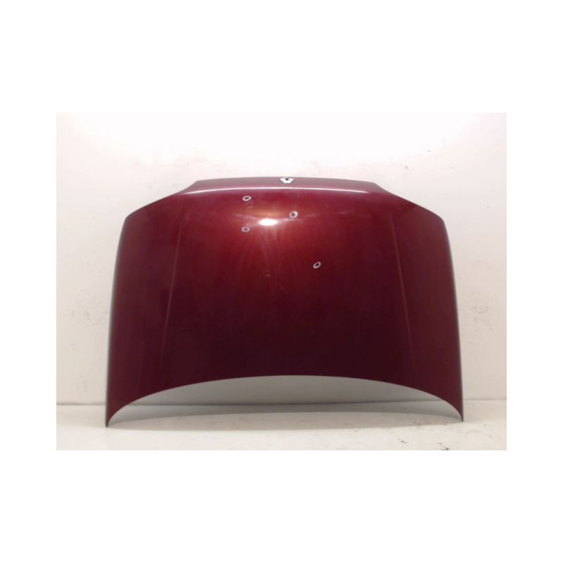CAPOT RENAULT CLIO