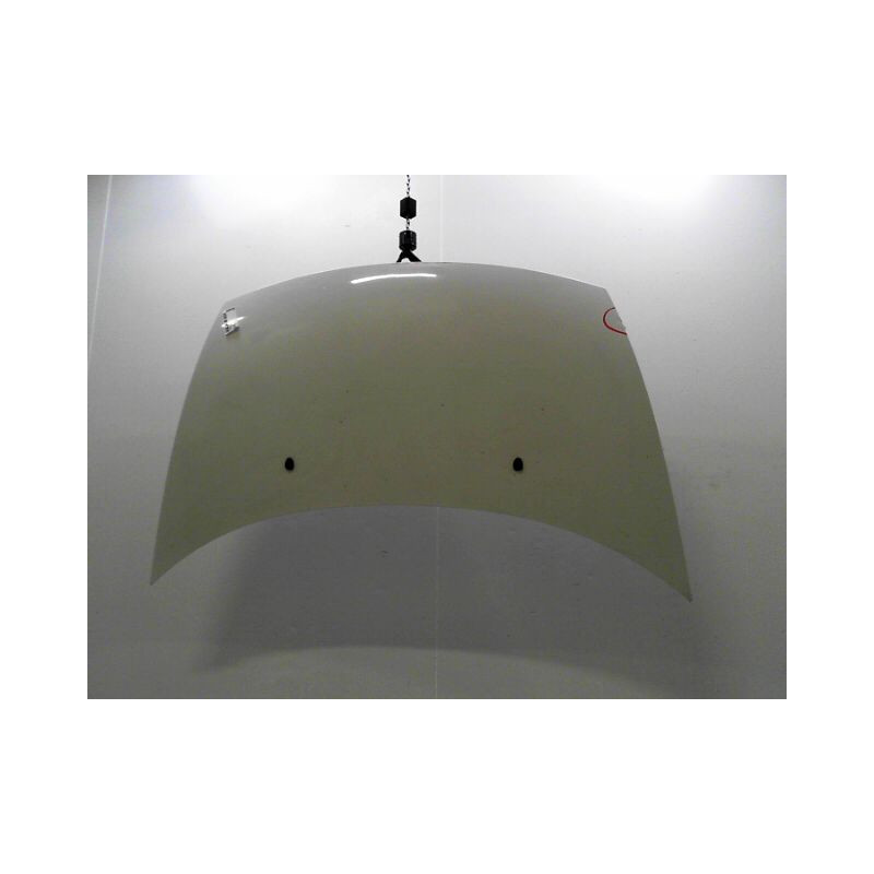 CAPOT CITROEN C3 2005-