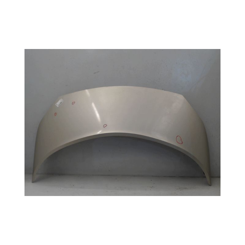 CAPOT RENAULT SCENIC II PH1 02-06