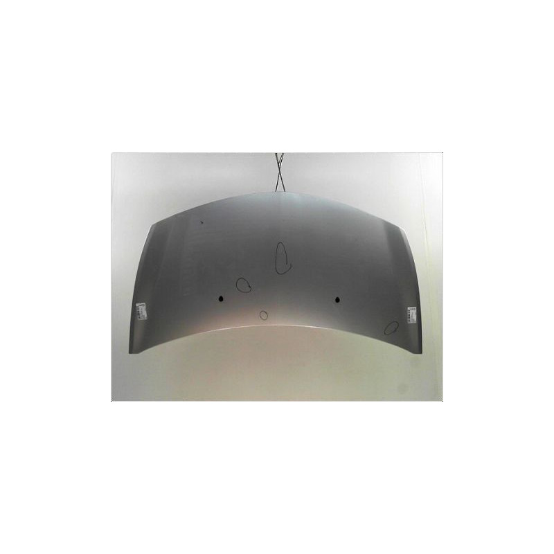 CAPOT RENAULT CLIO III PH.1 ESTATE 2008-2009