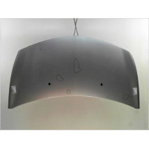 CAPOT RENAULT CLIO III PH.1 ESTATE 2008-2009