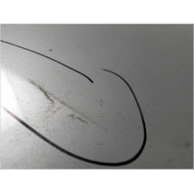 CAPOT RENAULT CLIO III PH.1 ESTATE 2008-2009