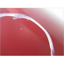 CAPOT CITROEN C5 PH2 2004-2008