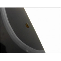 CAPOT RENAULT CLIO II PH.1 98-2001