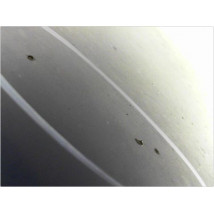 CAPOT RENAULT CLIO II PH.1 98-2001