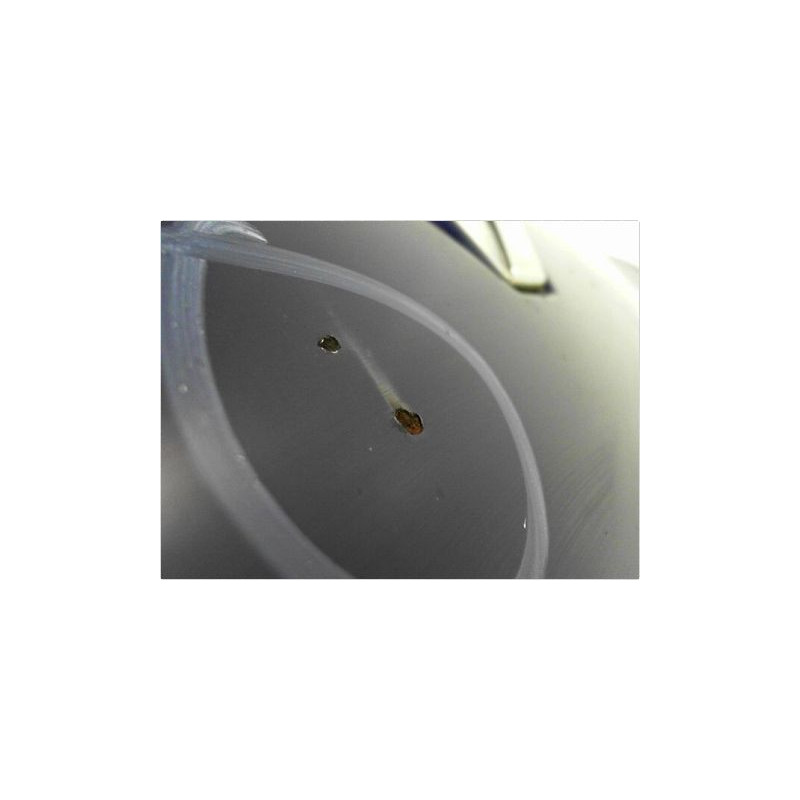 CAPOT RENAULT CLIO II PH.1 98-2001