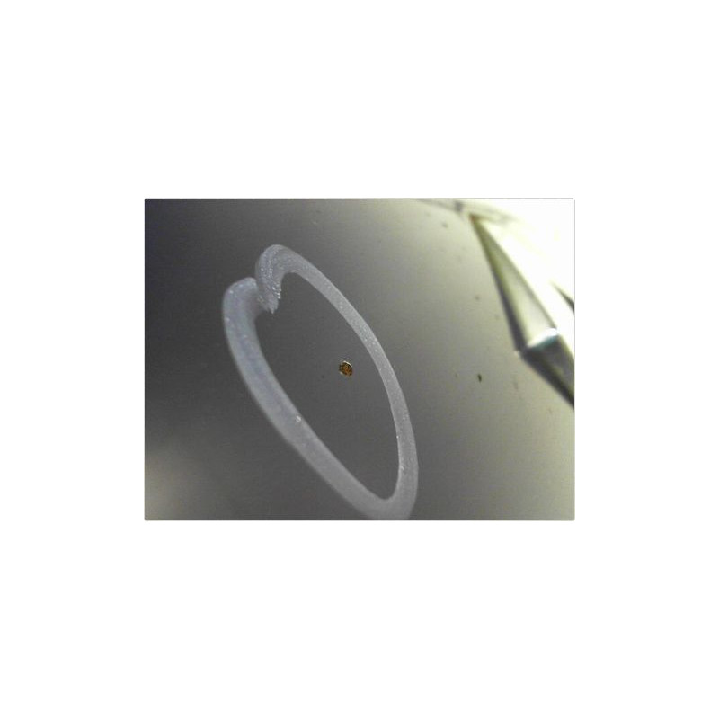 CAPOT RENAULT CLIO II PH.1 98-2001