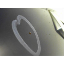 CAPOT RENAULT CLIO II PH.1 98-2001